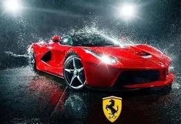 娱乐场上的,体育明星团,队协作风采,大发彩票,大发娱乐,大发快三,大发彩票官网