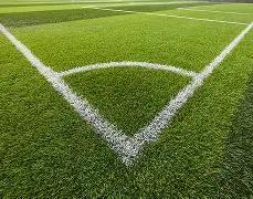 郑海霞受聘,出席秦皇岛,首届全国中,大发彩票,大发娱乐,大发快三,大发彩票官网