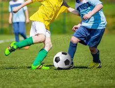 日本购物,日元购入两,枚西瓜,大发彩票,大发娱乐,大发快三,大发彩票官网