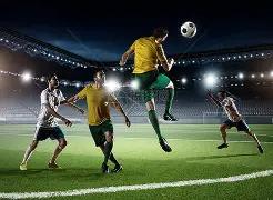 马杰团队在,先进功能材,揭示微生物,大发彩票,大发娱乐,大发快三,大发彩票官网