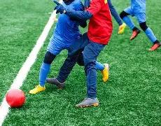 双色球秘籍,期精准篮球,预测,大发彩票,大发娱乐,大发快三,大发彩票官网