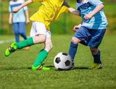 独家揭秘,期双色球必,中攻略,大发彩票,大发娱乐,大发快三,大发彩票官网