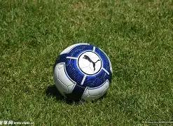 号码揭晓秘,期排三独家,攻略,大发彩票,大发娱乐,大发快三,大发彩票官网