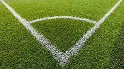 郑海霞受聘出席秦皇岛首届全国中老年篮球盛事