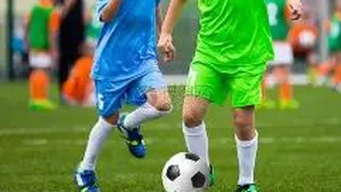 【揭秘】东巴智慧精准预测：双色球凤尾金码揭晓，锁定23与28，不容错过！