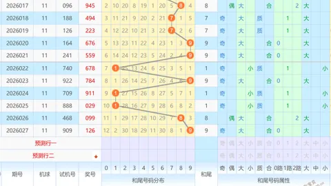 【双色球盛宴】2026014期惊喜揭晓：权威专家倾力蓝球秘码，锁定03、06、10！抢购好运，不容错过！