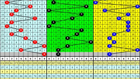 26103期大乐透专家推荐独胆质合分析